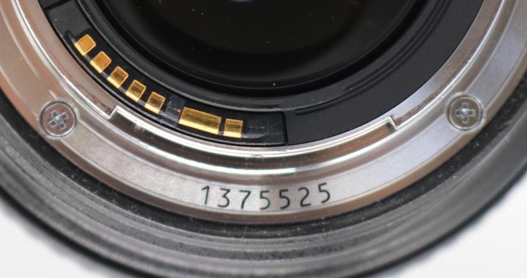 Canon 標準ズームレンズ EF24-70mm F2.8L USM