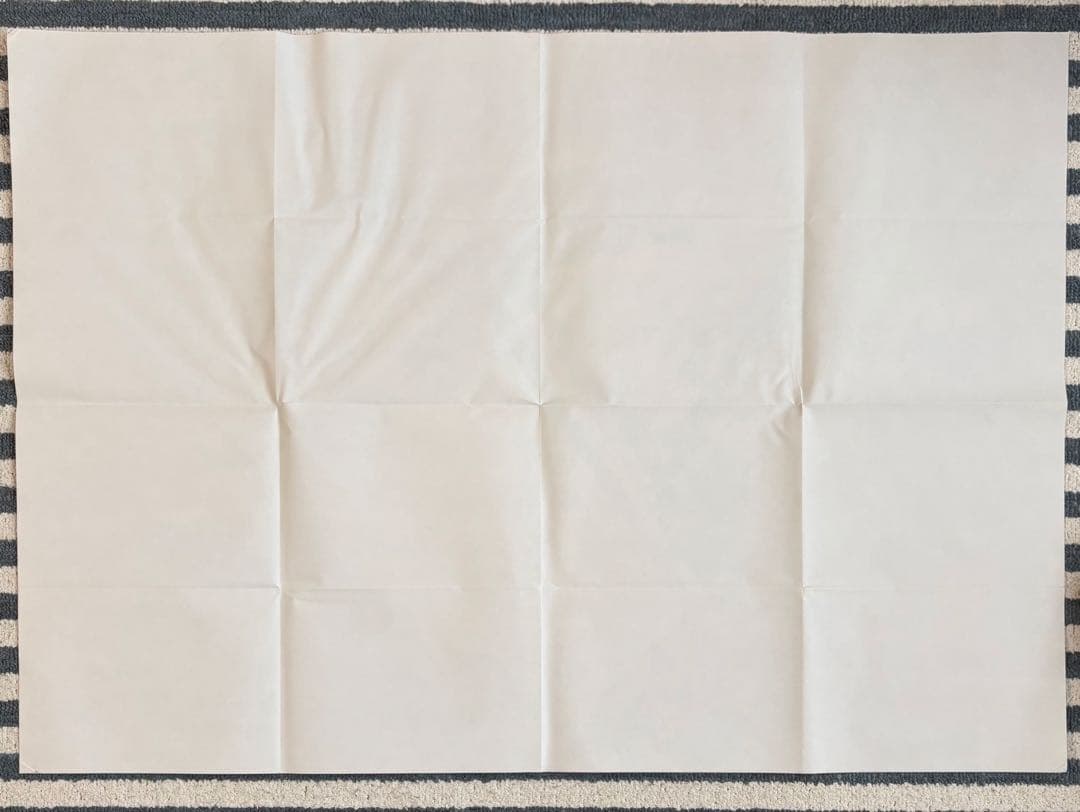 SEVENTEEN ウォヌ　waves 中国 漫潮 ビッグポスター