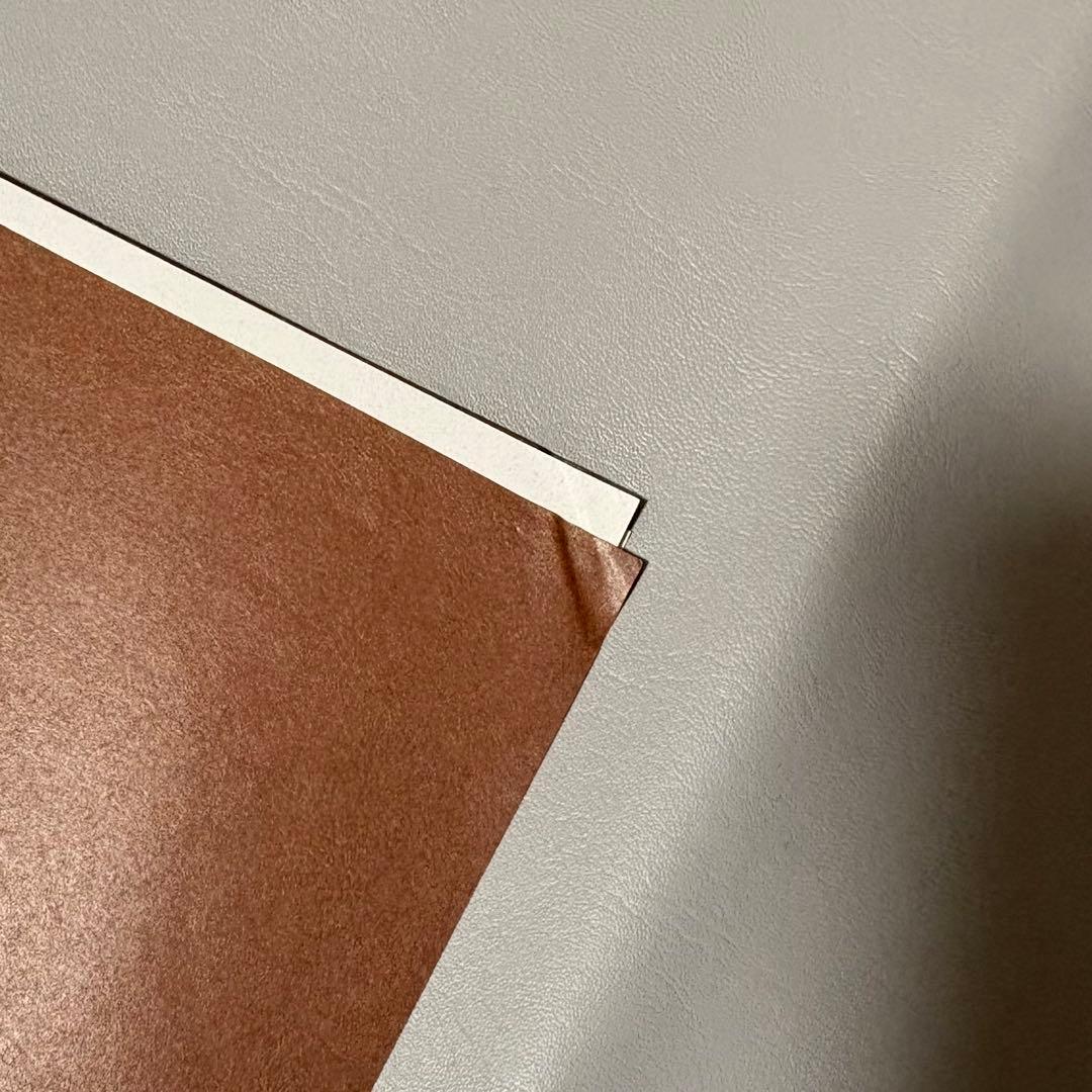 SEVENTEEN ウォヌ　waves 中国 漫潮 ビッグポスター