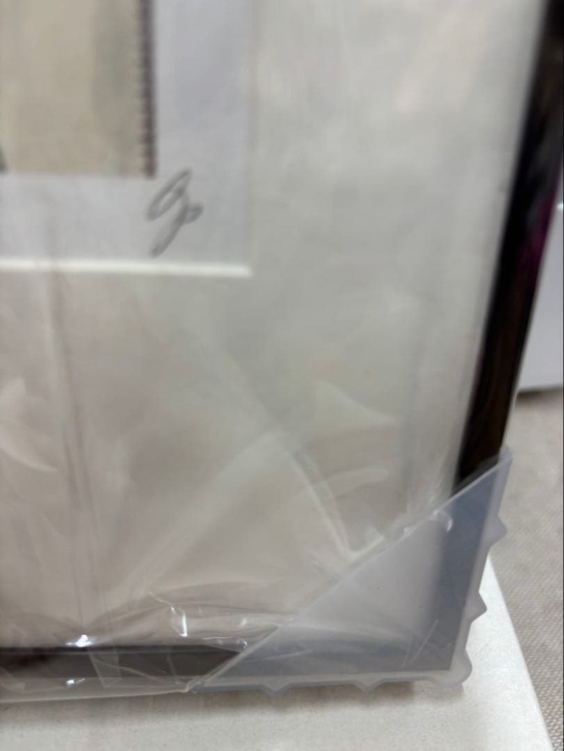 ドラゴンボール 額装品 (希望を捨てるな) サイン入り