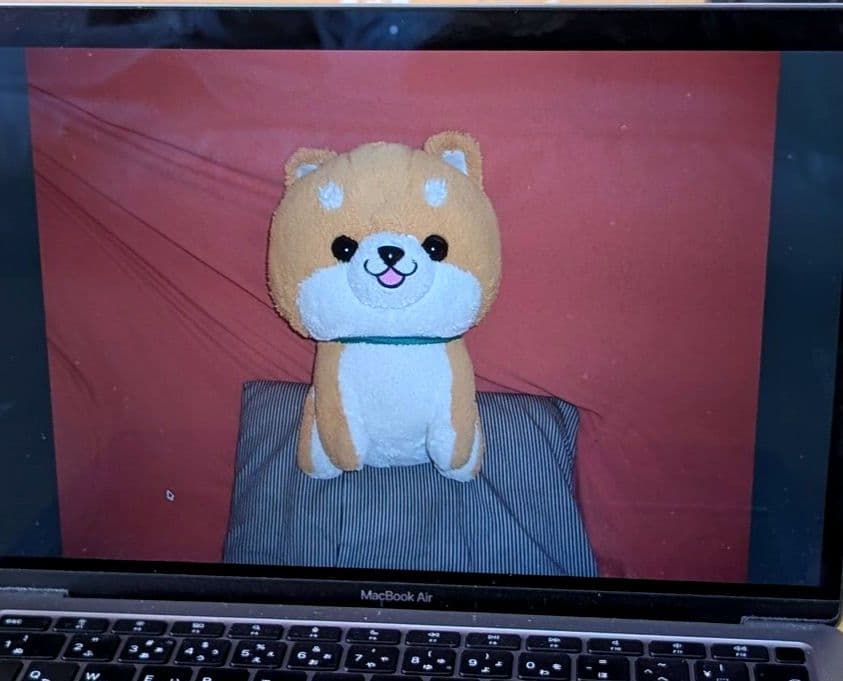 【箱付きフルセット】CASIO EXILIM EX-Z55 付属品有り ブラウン