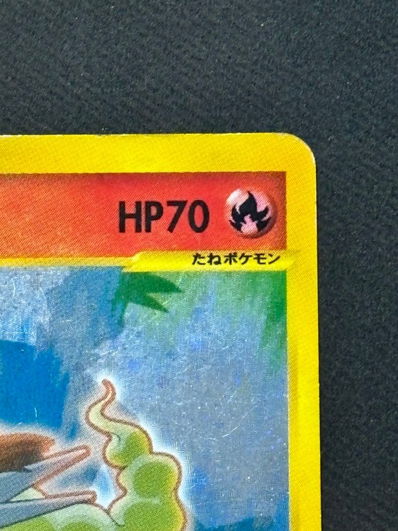 R団のエンテイ ポケモンカード　VS 095/141