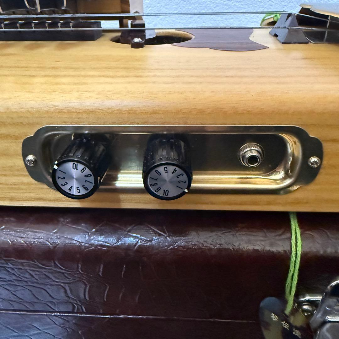 極美品 琴伝流 大和 ハードケース 鍵付き 付属品多数 ピック