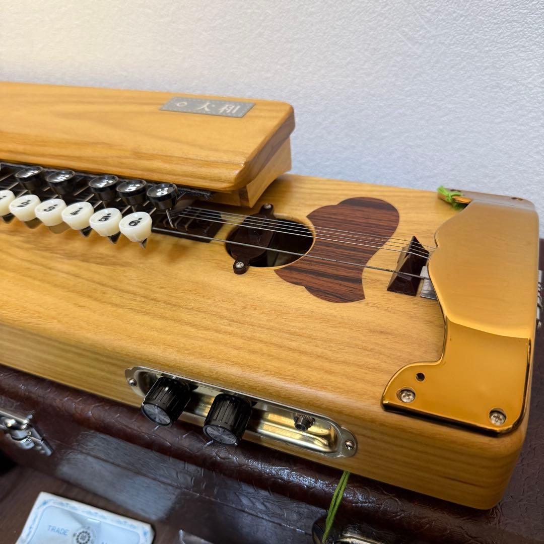 極美品 琴伝流 大和 ハードケース 鍵付き 付属品多数 ピック