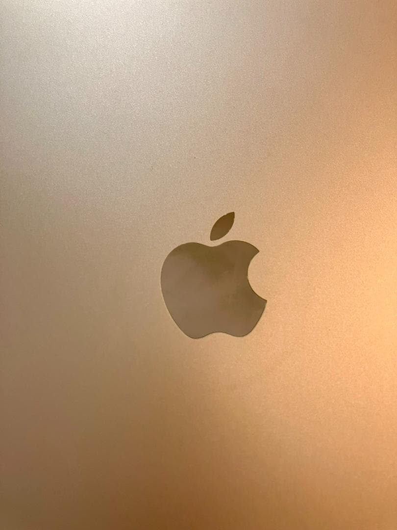 iPad Air2 第2世代 64GB Wi-Fiモデル シルバー