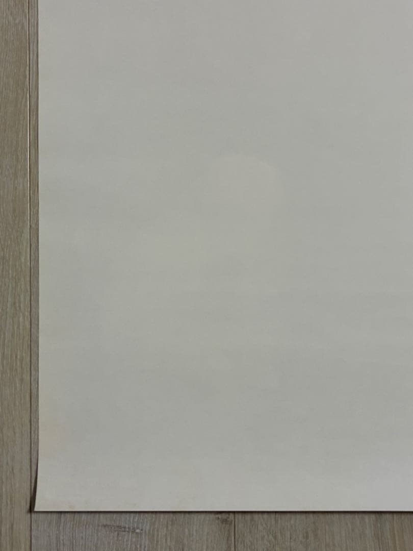 【非売品】中森明菜　アルバムポシビリティー特典ポスター　（A）