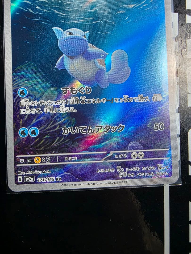 ゼニガメ　カメール　AR