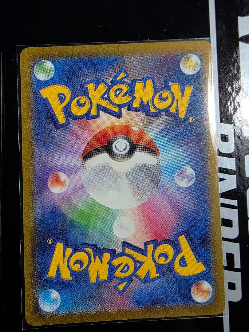 ゼニガメ　カメール　AR