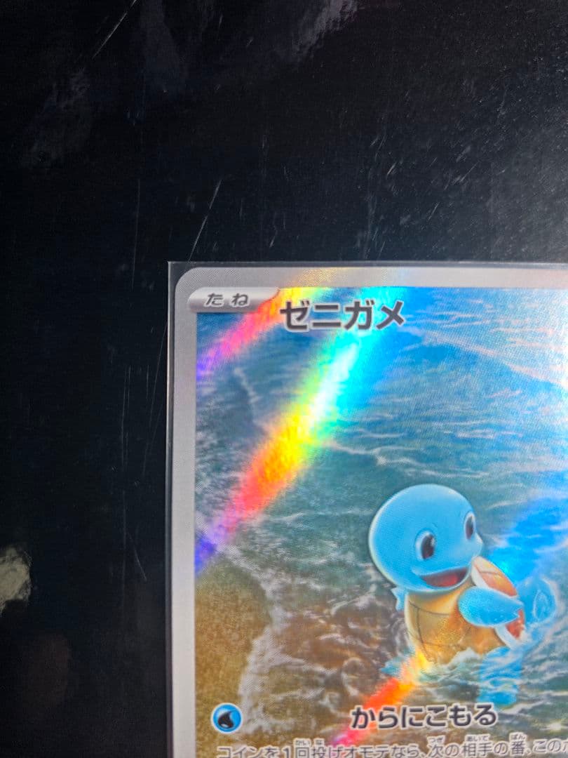 ゼニガメ　カメール　AR