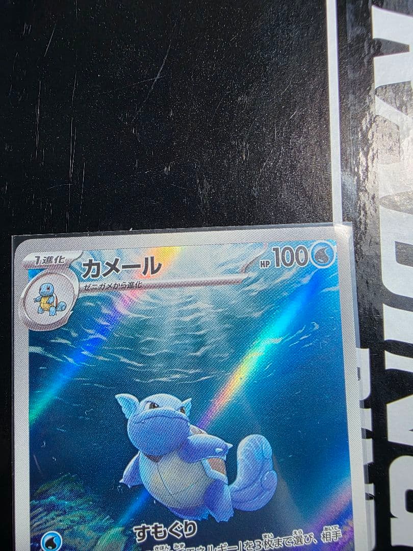 ゼニガメ　カメール　AR