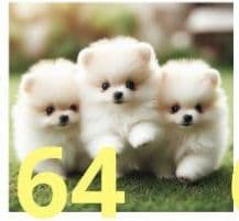 トートバッグ Jun