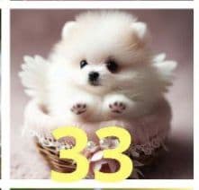 トートバッグ Jun