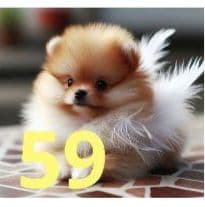 トートバッグ Jun