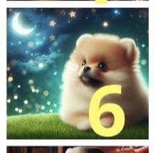 トートバッグ Jun