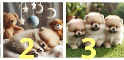 トートバッグ Jun