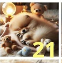 トートバッグ Jun