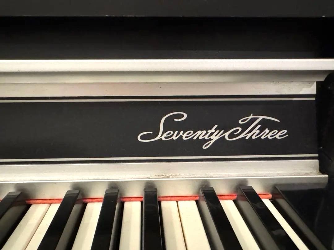 【送料込み】Rhodes Mk.II Suitcase 73鍵 木製鍵盤