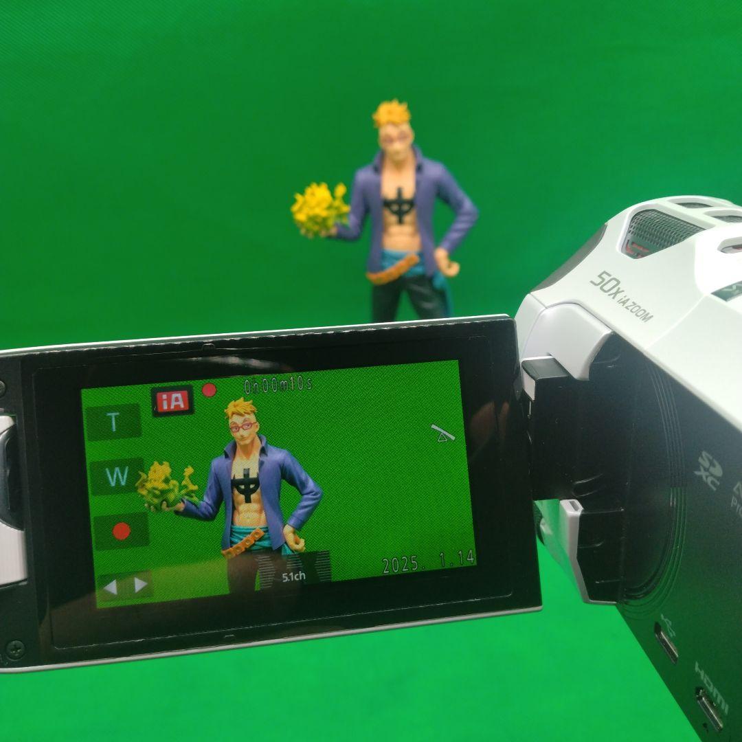 Panasonic パナソニック HC-W870M ビデオカメラ