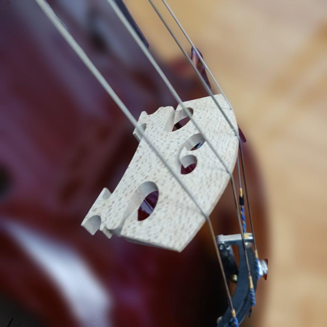 Stradivarius Faciebat Cremona 1713 バイオリン