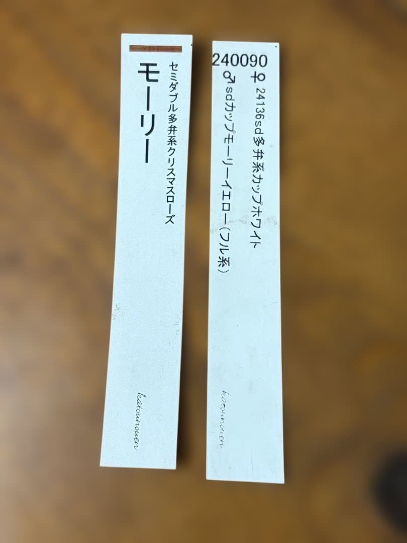 【認定】加藤農園　モーリー　お花終わり価格