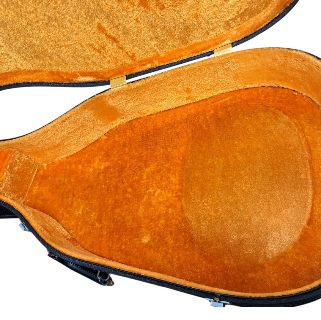 YAMAHA　FG-500J　ブラックラベル　ハードケース有