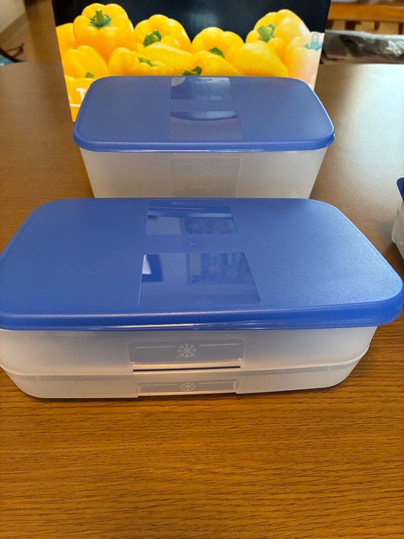 【未使用】大人気!!タッパーウェアTupperware フリーザーメイト13個
