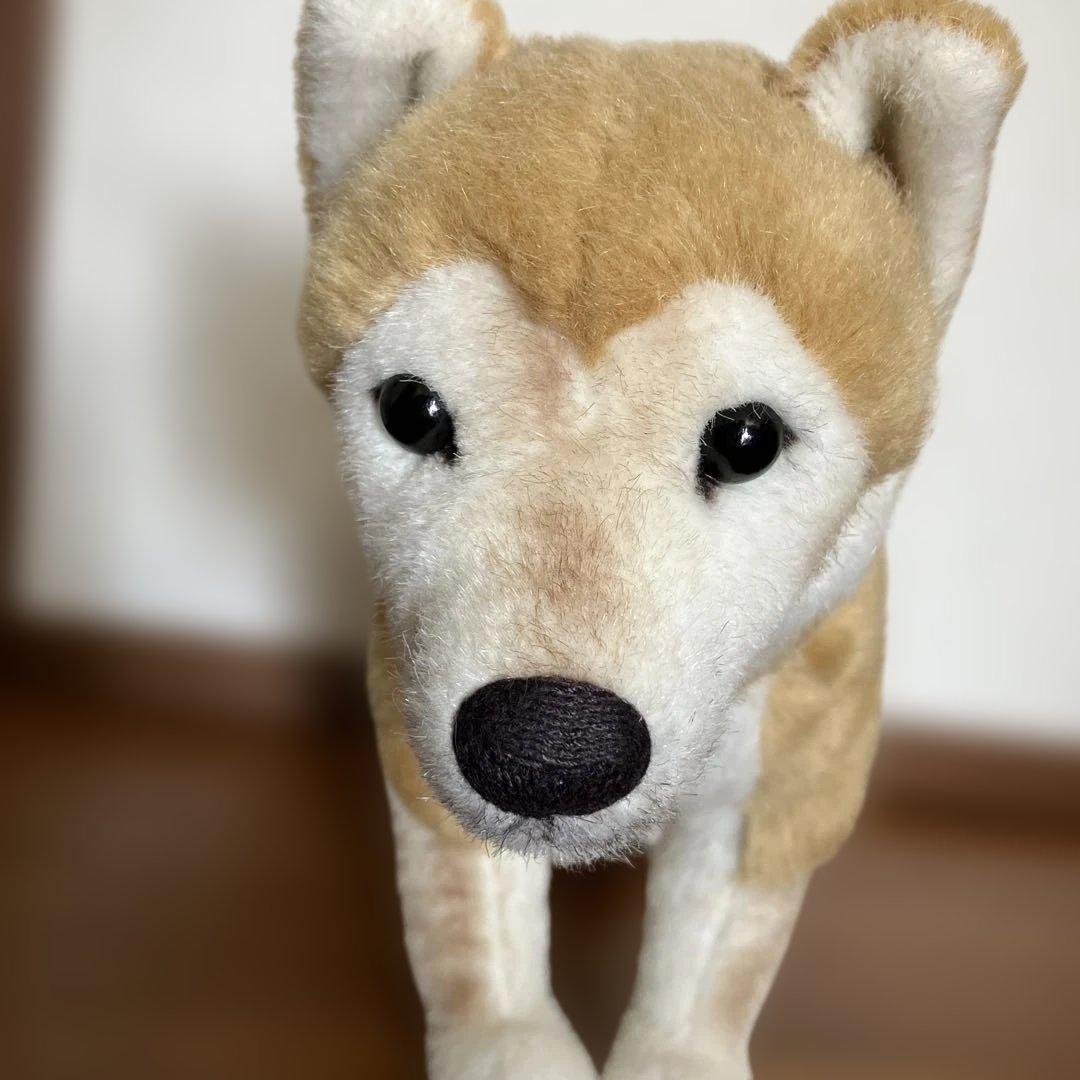 柴犬 ぬいぐるみ 大 kosen