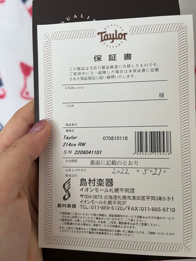 Taylor ギター 214ce Rosewood＋ケース