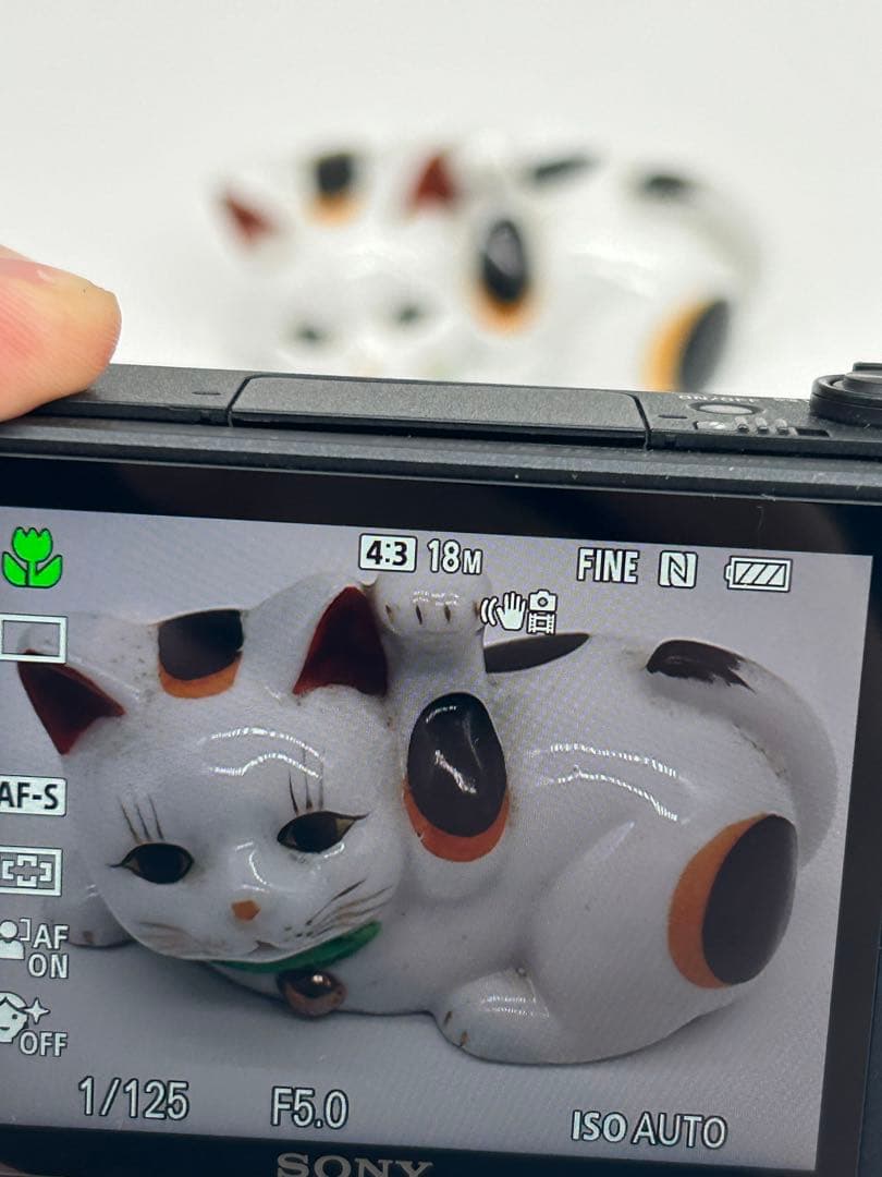 Sony DSC-WX800 コンパクトデジタルカメラ#131