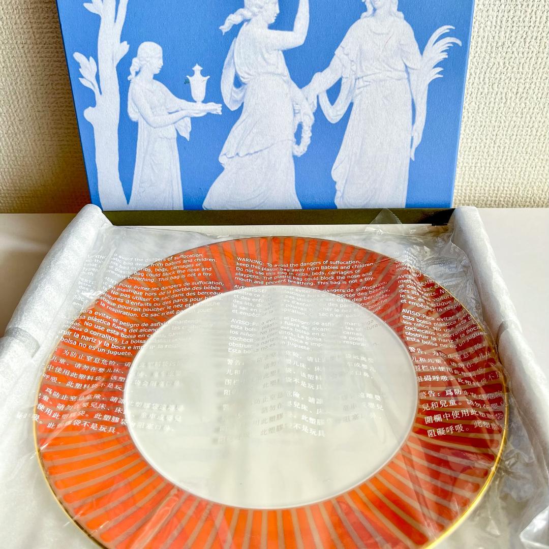 【12/22迄期間限定お値引き】新品未使用★ ディナー皿2枚