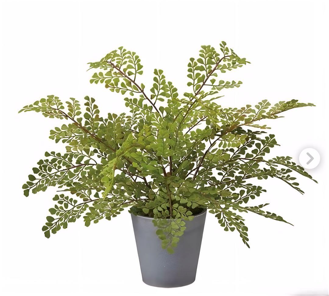 光触媒　人工観葉植物　ウォールグリーン　フェイクグリーン　アジアンタムポット