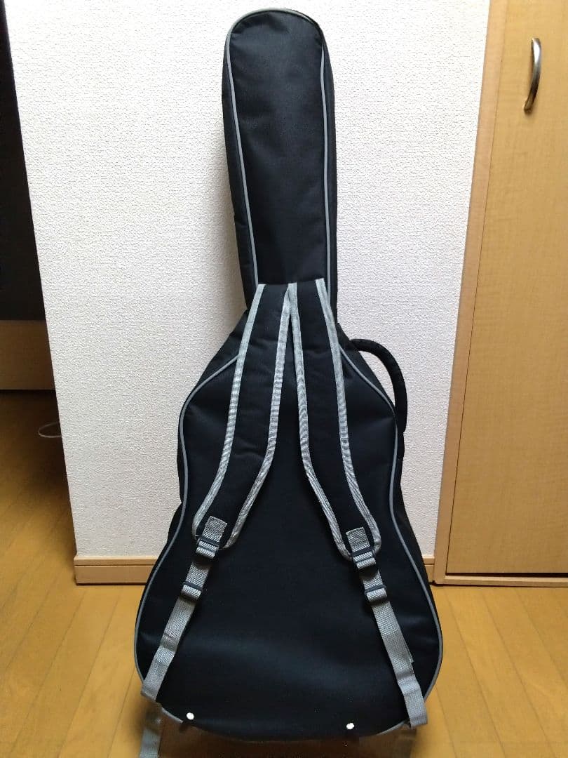 Donner 「DAD-812」アコースティックギター　ドナー　SC付き