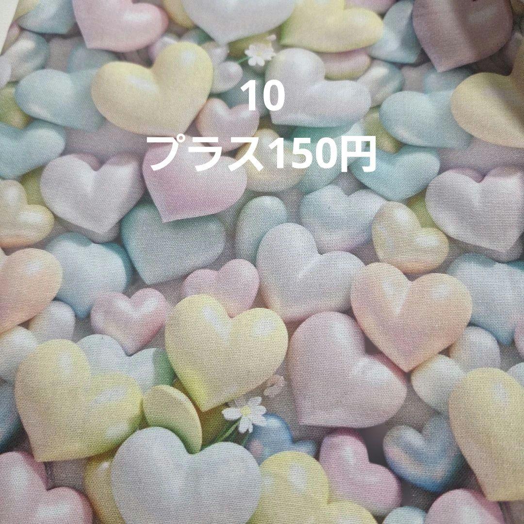 確認用生地