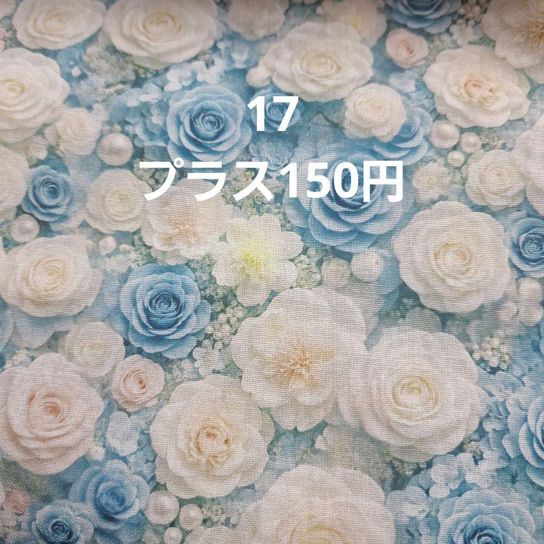 確認用生地
