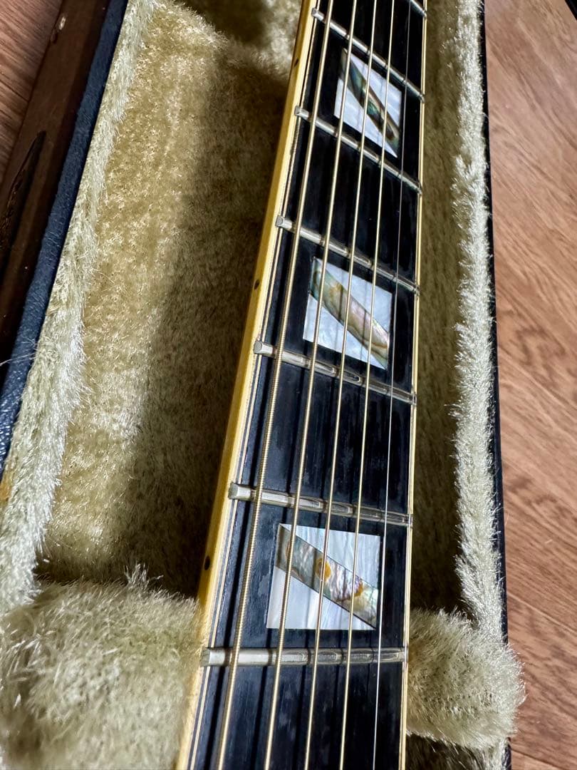 ギター Aria Elecord FEA-120