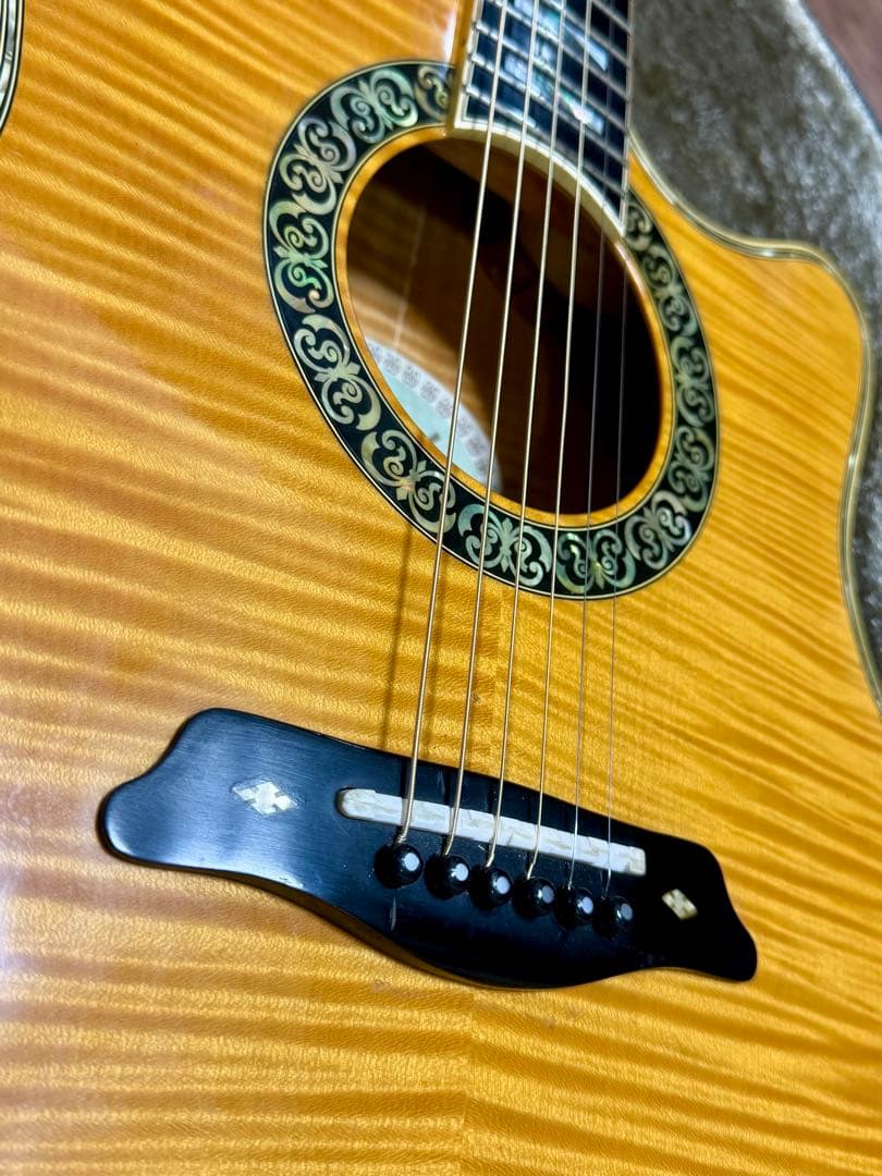 ギター Aria Elecord FEA-120