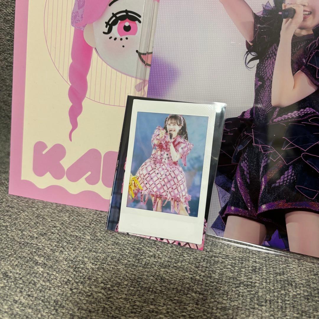 【匿名24h以内】FRUITS ZIPPER LIVE写真集 松本かれん