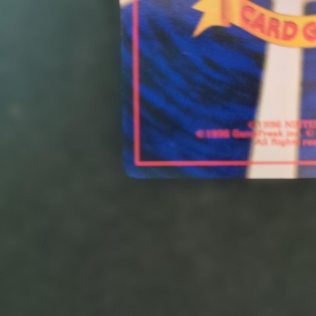 極上美品✨ ライチュウ 旧裏