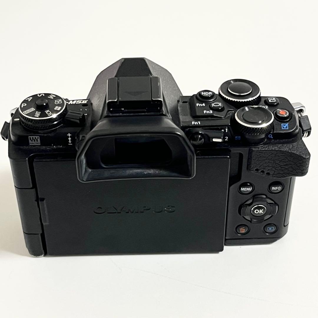 OLYMPUS E-M5 mark ⅱ