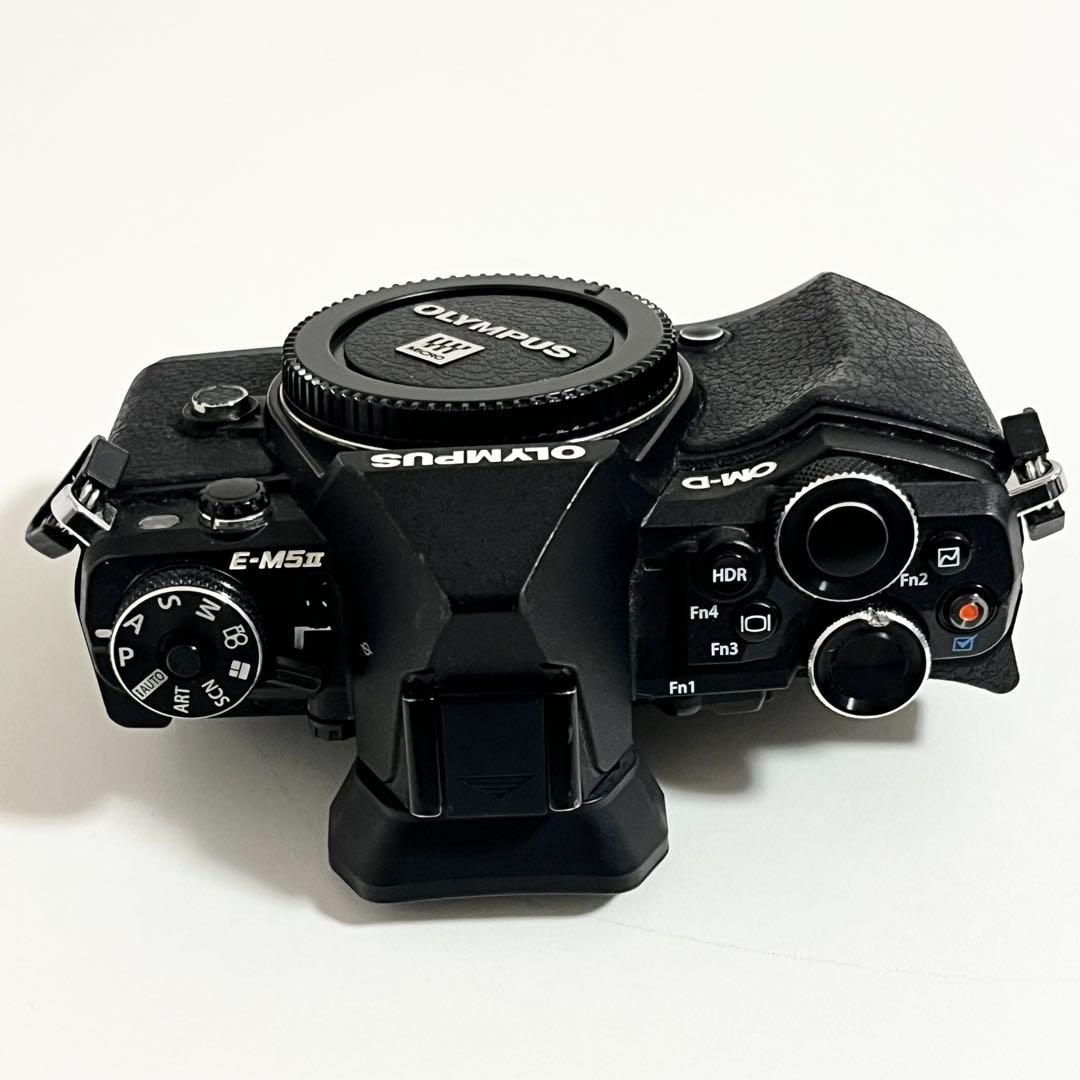 OLYMPUS E-M5 mark ⅱ