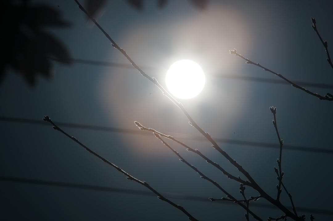 【整備テスト】ニコン Nikkor-H Auto 300mm F4.5 658