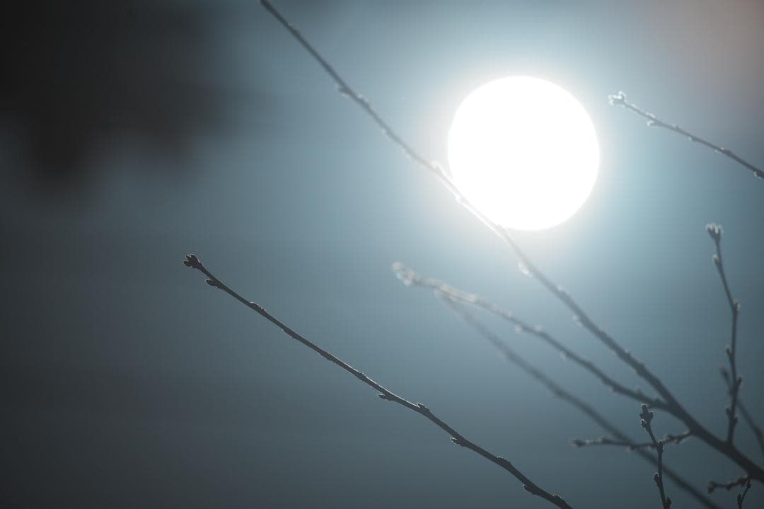 【整備テスト】ニコン Nikkor-H Auto 300mm F4.5 658