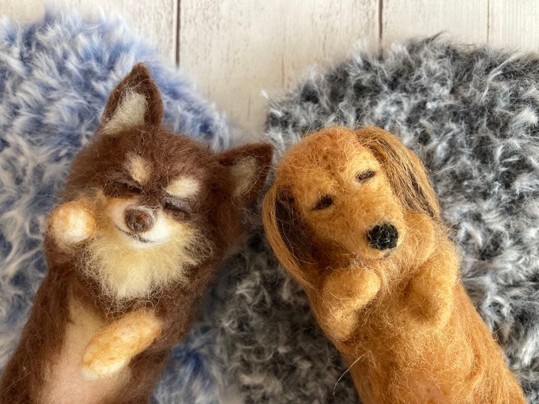 羊毛フェルト　眠るチワワとミニチュアダックス