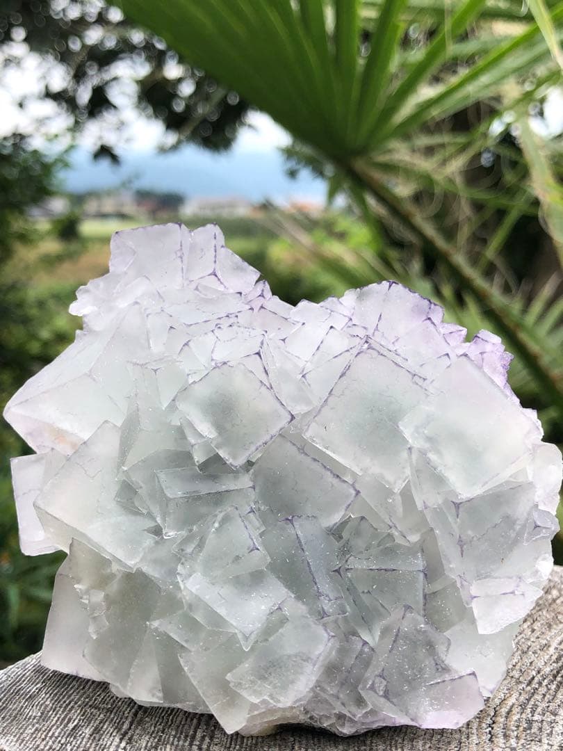 ❤️超レア　214g 綺麗　紫縁　グリーンフローライト　蛍石　クラスター