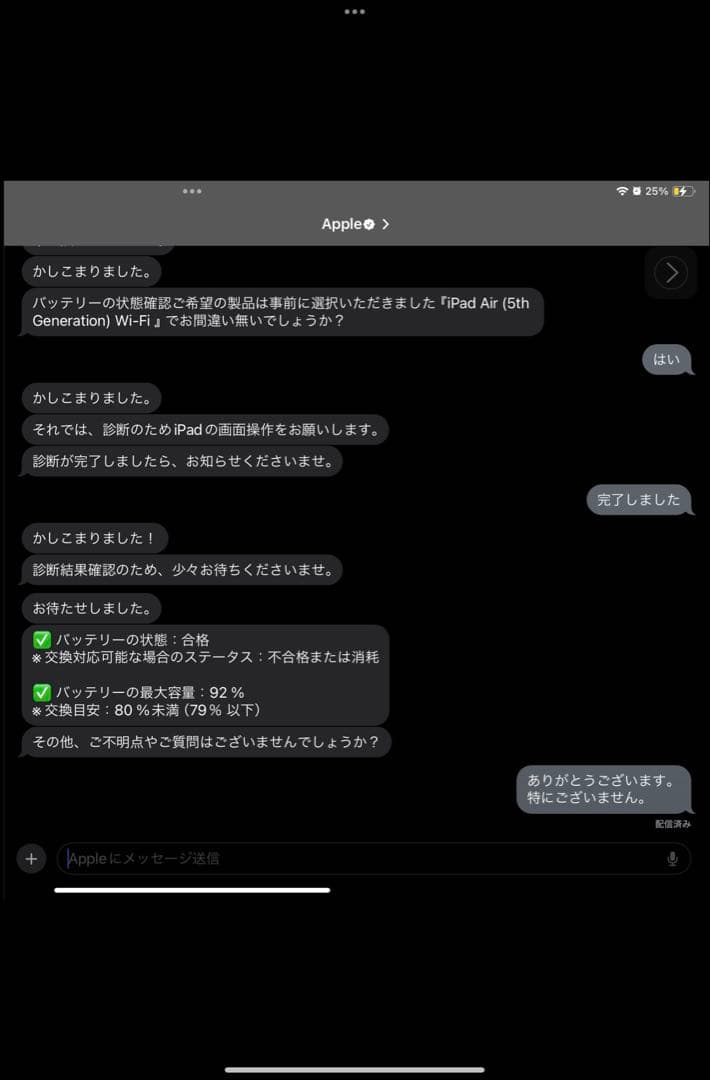 Myat Sandar Winさん専用 ipad256GB バッテリー残量92%