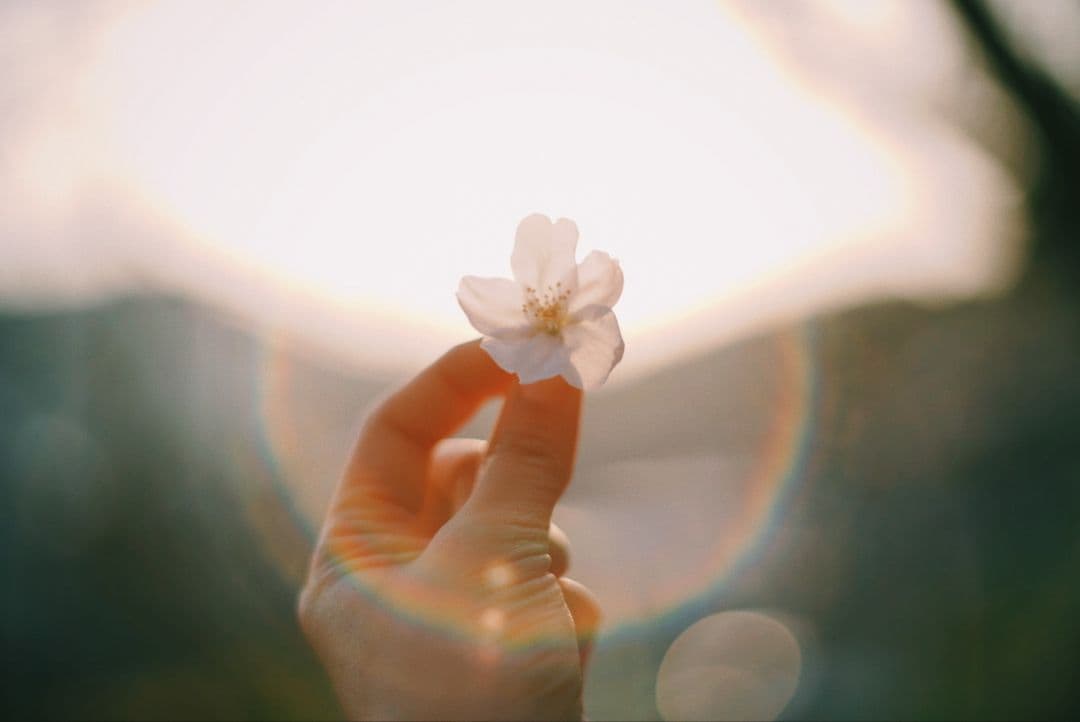 整備済★アサヒペンタックス SP＋Super-Takumar 55mm f1.8