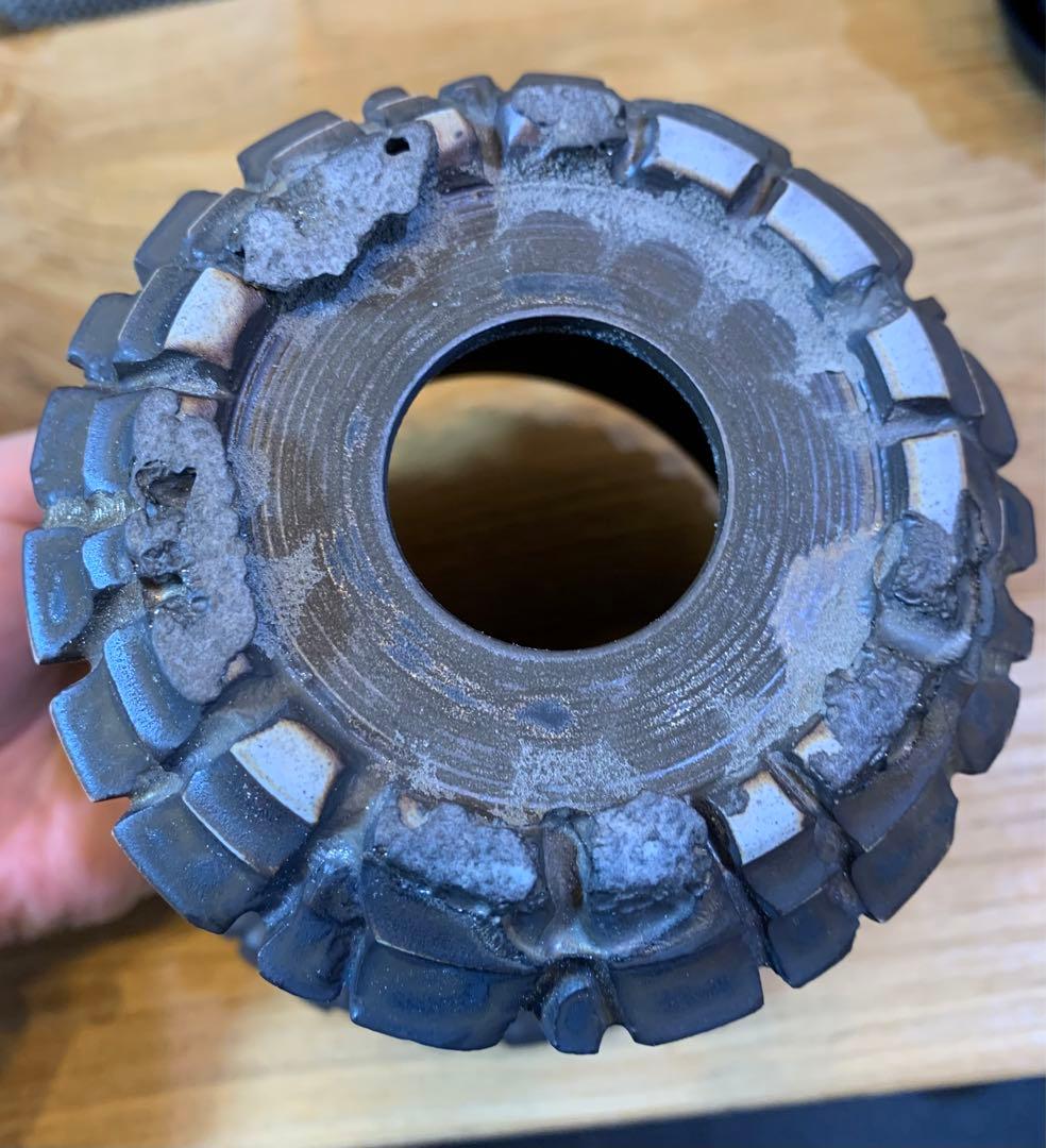 【発根済】アガベ   オアハカ　オテロイ　現地球　絶品鋸歯　超希少株・うねり