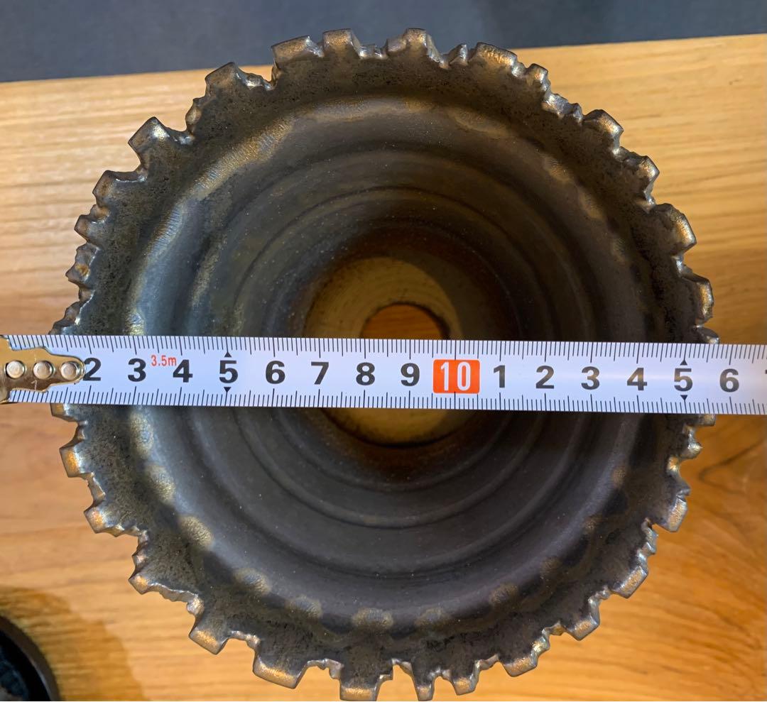 【発根済】アガベ   オアハカ　オテロイ　現地球　絶品鋸歯　超希少株・うねり