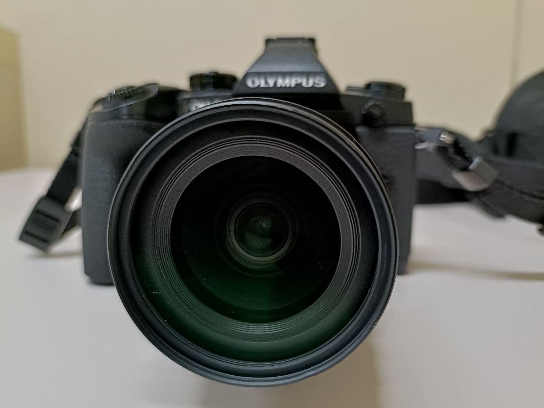 【美品2638回】OLYMPUS OM-D E-M1 ミラーレス一眼カメラセット