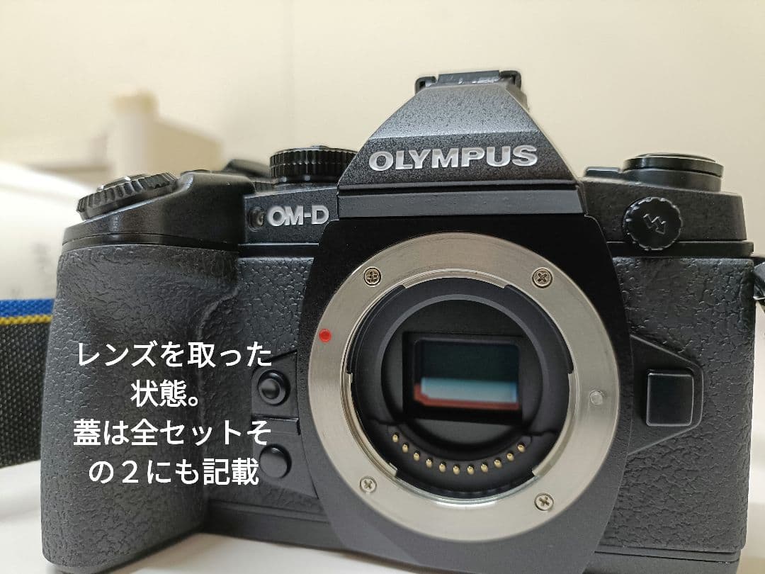 【美品2638回】OLYMPUS OM-D E-M1 ミラーレス一眼カメラセット
